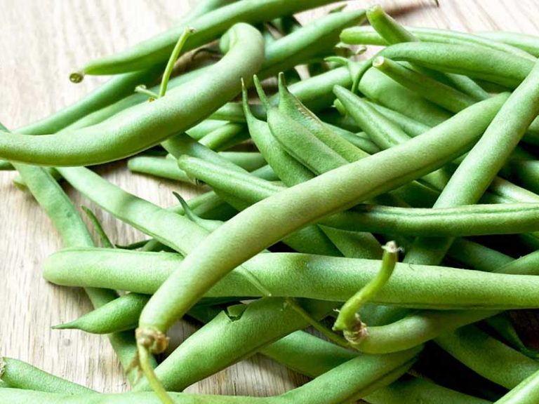 EL EJOTE, UNA FUENTE ANCESTRAL DE BENEFICIOS