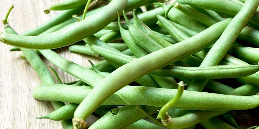 EL EJOTE, UNA FUENTE ANCESTRAL DE BENEFICIOS