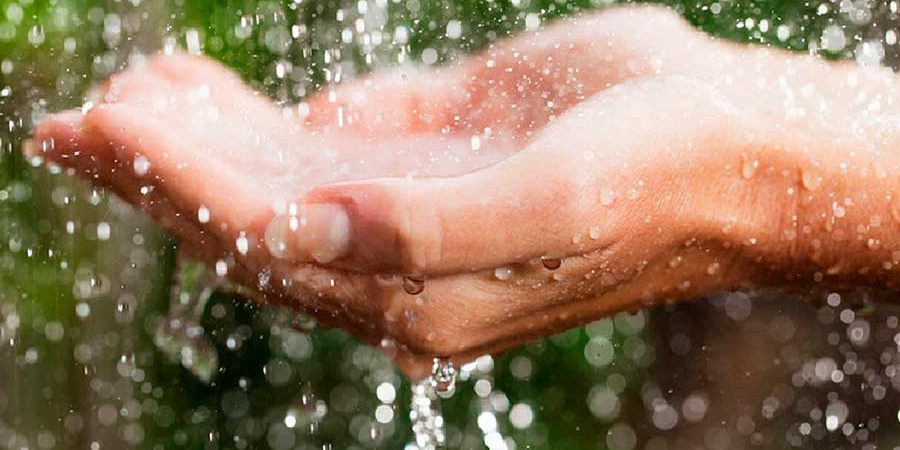 EL RIESGO DE BEBER AGUA DE LLUVIA