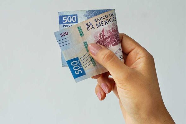 INGRESO BÁSICO UNIVERSAL