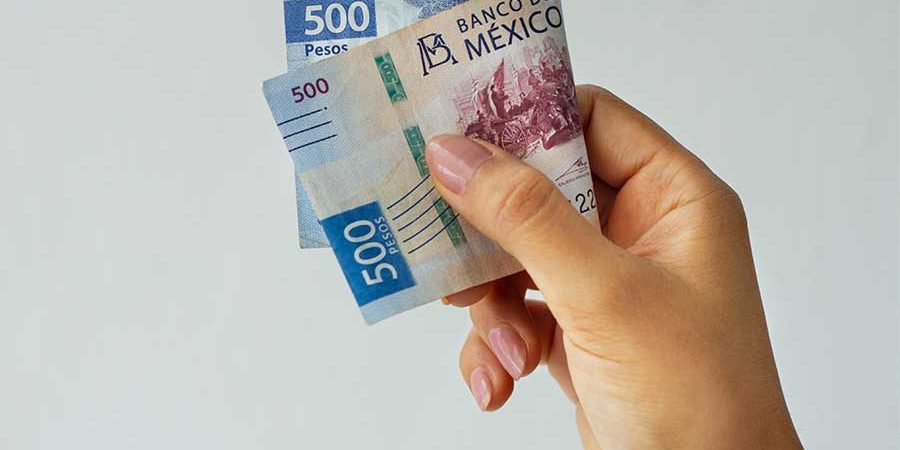 INGRESO BÁSICO UNIVERSAL