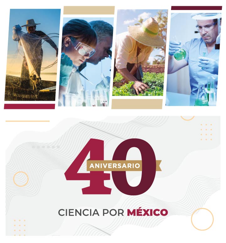 Banner-40-aniversario-mobile Banner-40-aniversario-mobile