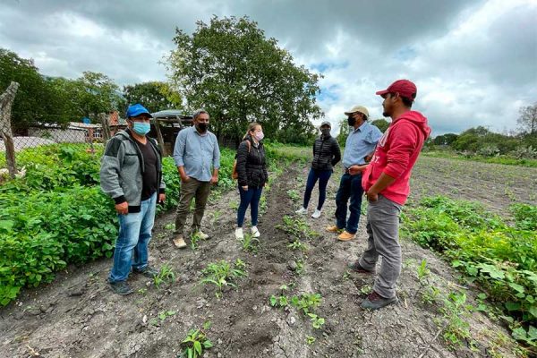 LAS MILPAS HIDALGUENSES BAJO EL MICROSCOPIO DEL CIAD