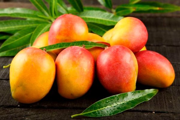 COMPUESTOS BIOACTIVOS DE ORIGEN VEGETAL COMO AGENTES ANTINEUROINFLAMATORIOS