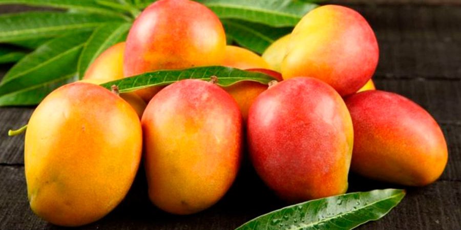 COMPUESTOS BIOACTIVOS DE ORIGEN VEGETAL COMO AGENTES ANTINEUROINFLAMATORIOS