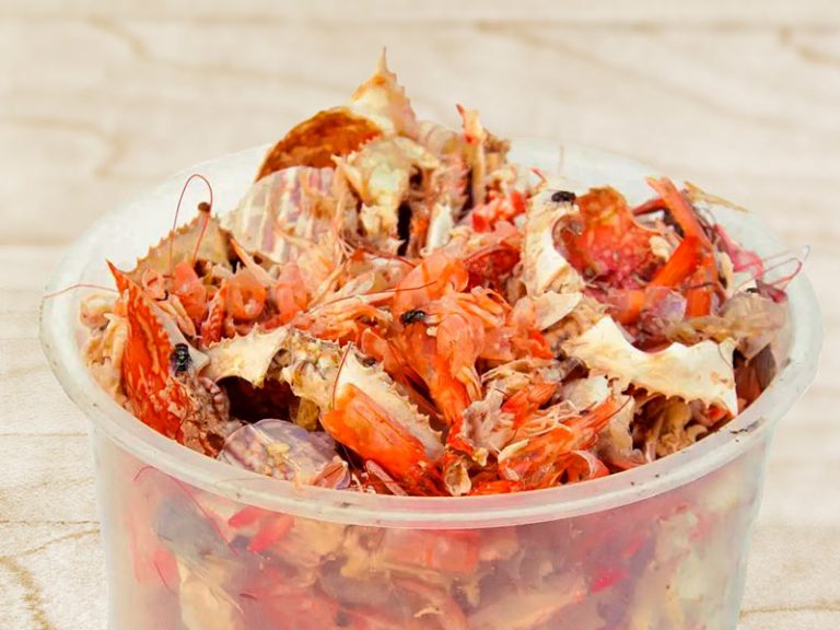 DESECHOS DE CAMARÓN Y SU POTENCIAL EN LA AGRICULTURA, HACIA UNA TRANSICIÓN AGROECOLÓGICA