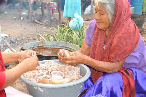 DIETA, INSEGURIDAD ALIMENTARIA Y ESTADO DE NUTRICIÓN EN LA POBLACIÓN INDÍGENA DE SONORA