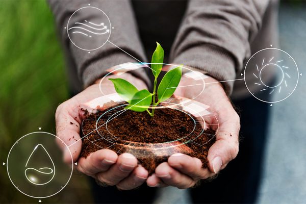 NUTRICIÓN, ALIMENTACIÓN Y SALUD EL FUTURO EN LA AGRICULTURA 4.0