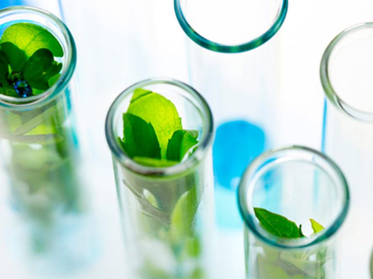 QUÍMICA VERDE Y SUS APLICACIONES EN LA INVESTIGACIÓN EN CIENCIA DE ALIMENTOS