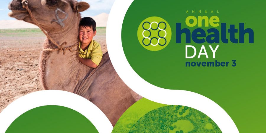 UNA SOLA SALUD EN LA AGENDA 2030