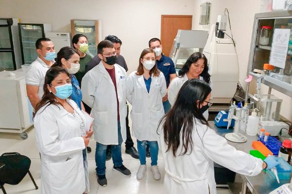 EMPRENDEN DETECCIÓN DE ORGANISMOS GENÉTICAMENTE MODIFICADOS EN MAÍZ