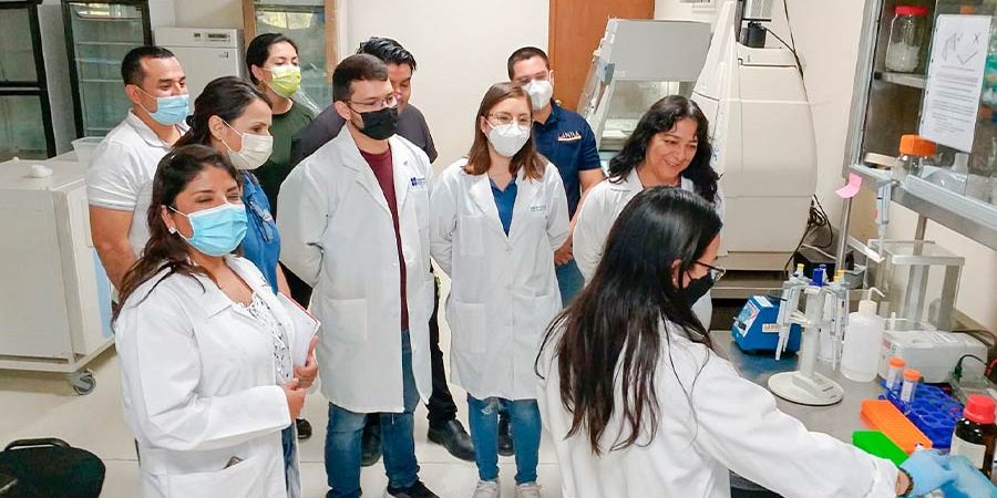 EMPRENDEN DETECCIÓN DE ORGANISMOS GENÉTICAMENTE MODIFICADOS EN MAÍZ