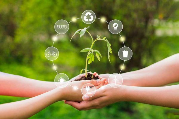 ANALIZAN FORMACIÓN AMBIENTAL EN EDUCACIÓN PREPARATORIA (Pas)