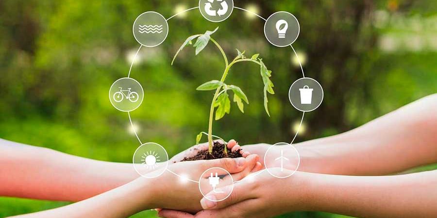 ANALIZAN FORMACIÓN AMBIENTAL EN EDUCACIÓN PREPARATORIA (Pas)