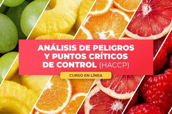 EL CIAD OFRECERÁ UN CURSO EN LÍNEA SOBRE INOCUIDAD ALIMENTARIA CON BASE EN EL SISTEMA HACCP