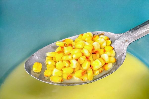 LA VALORIZACIÓN DE RESIDUOS Y LA ECONOMÍA CIRCULAR, LA INDUSTRIA DE LA TORTILLA Y EL MANEJO DE SUS EFLUENTES