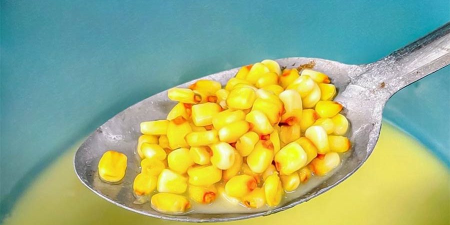 LA VALORIZACIÓN DE RESIDUOS Y LA ECONOMÍA CIRCULAR, LA INDUSTRIA DE LA TORTILLA Y EL MANEJO DE SUS EFLUENTES