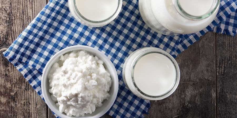 LECHES FERMENTADAS CONTRA LA OBESIDAD