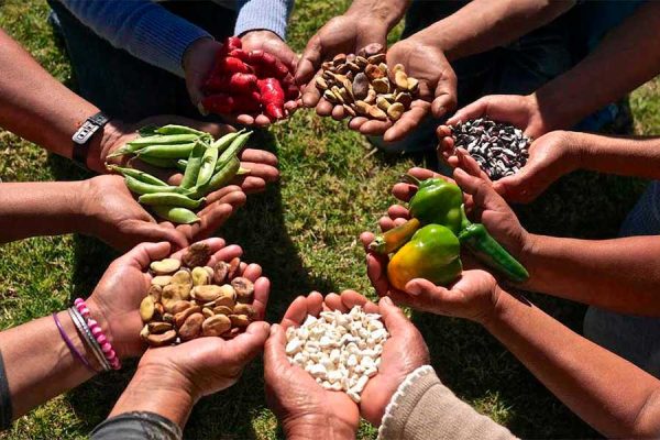 TRANSICIÓN AGROECOLÓGICA PARA LA SOBERANÍA ALIMENTARIA Y EL BUEN VIVIR