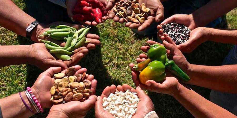 TRANSICIÓN AGROECOLÓGICA PARA LA SOBERANÍA ALIMENTARIA Y EL BUEN VIVIR