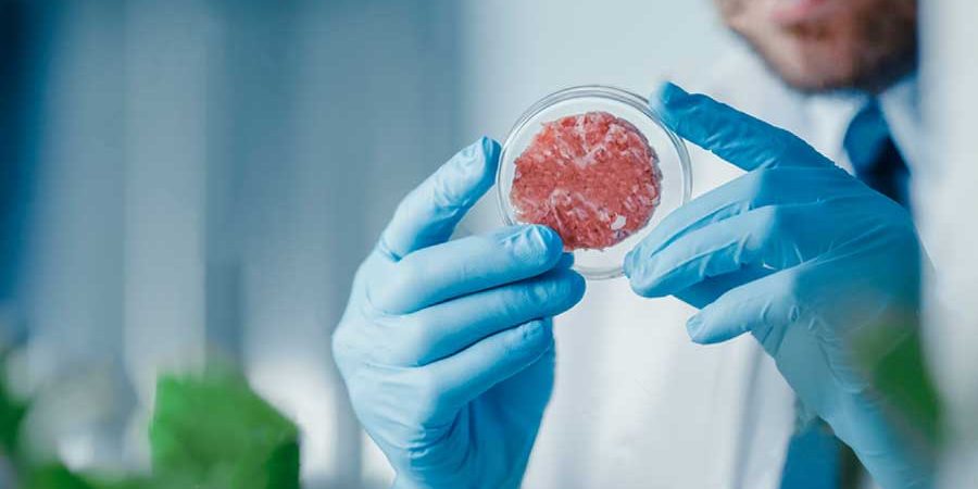 INICIA CICLO DE CONVERSATORIOS SOBRE ALIMENTACIÓ N, SALUD, AMBIENTE Y DESARROLLO TERRITORIAL