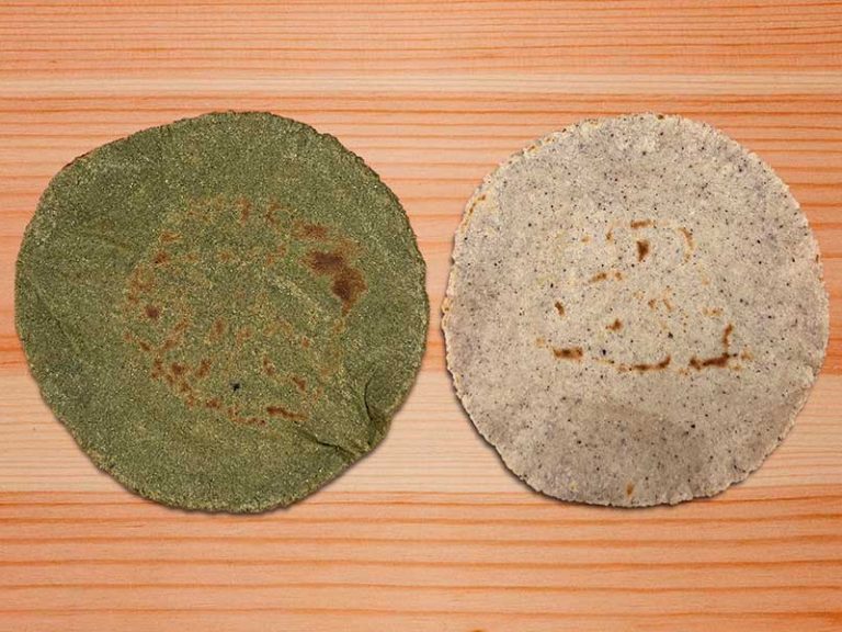 DE LA DIETA TRADICIONAL MESOAMERICANA A LA ALIMENTACIÓN FUNCIONAL