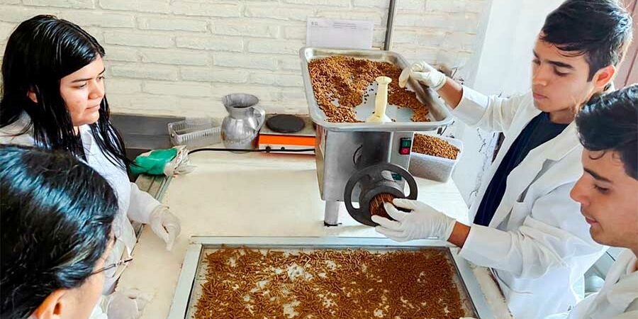 CAPACITAN ESTUDIANTES PARA LA ELABORACIÓN DE ALIMENTO PARA ROBALO