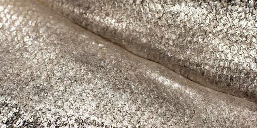 PIEL DE PESCADO COMO FUENTE NATURAL DE COLÁGENO