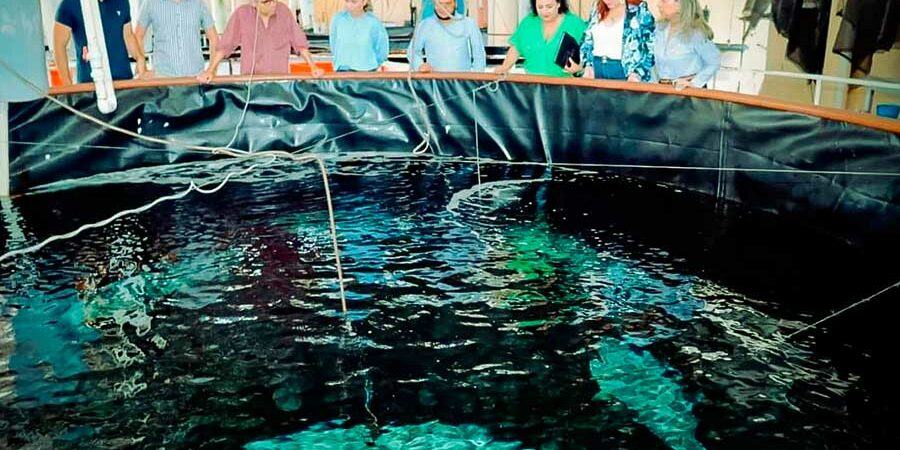 BUSCAN DETONAR CULTIVO DE ROBALO EN SINALOA