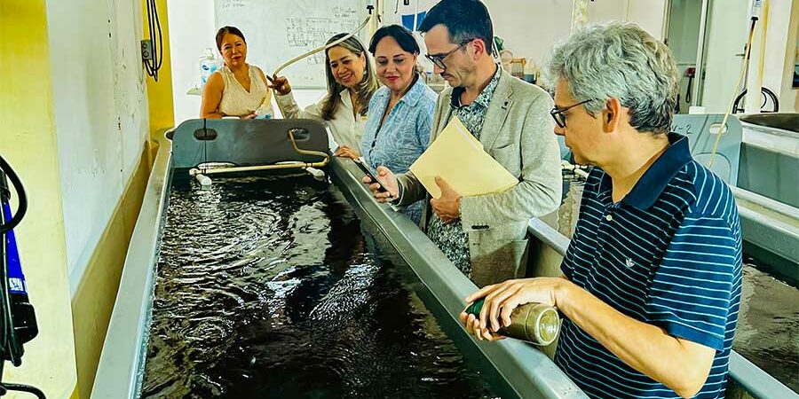 COMITIVA DE LA EMBAJADA DE FRANCIA EN MÉXICO VISITA EL CIAD MAZATLÁN