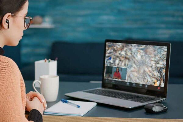 MIGRANDO A LA ERA DIGITAL, CURSO HACCP-VIRTUAL SOBRE PRODUCTOS MARINOS