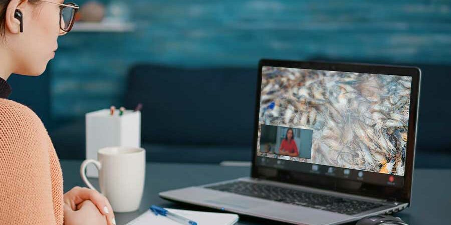 MIGRANDO A LA ERA DIGITAL, CURSO HACCP-VIRTUAL SOBRE PRODUCTOS MARINOS