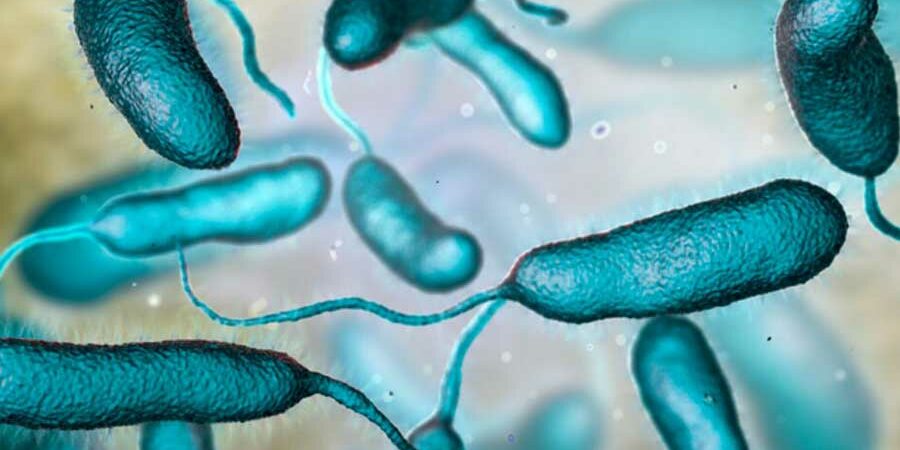 CÓMO CUIDARNOS DE LA BACTERIA COME CARNE