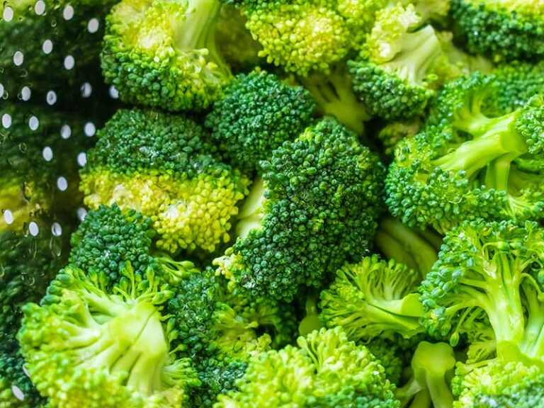 EL BRÓCOLI, UN TESORO ENTRE LOS VEGETALES