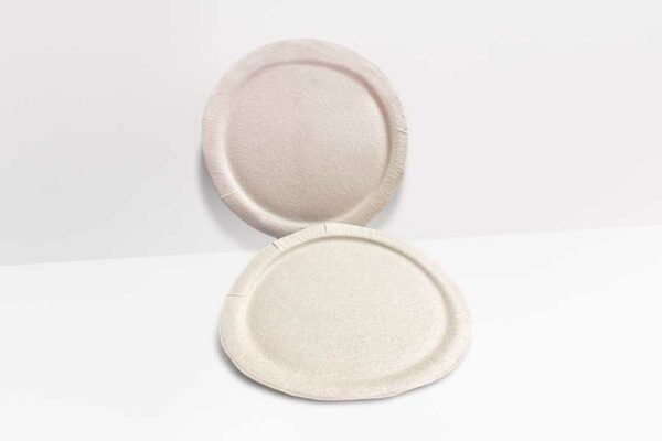 PLATOS DESECHABLES BIODEGRADABLES OBTENIDOS DE SEMILLA DE MANGO