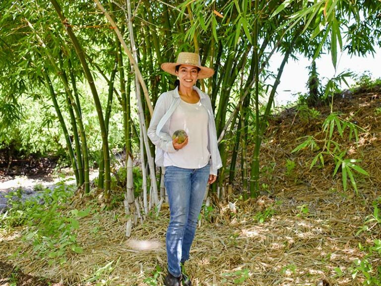 CONGRESO DE LA UNIÓN DISTINGUE INVESTIGACIÓN DE EGRESADA DEL CIAD