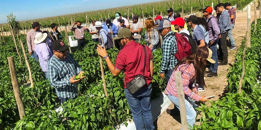 CULMINAN CONGRESOS DE LA SOMECH CON RECORRIDOS DE CAMPO
