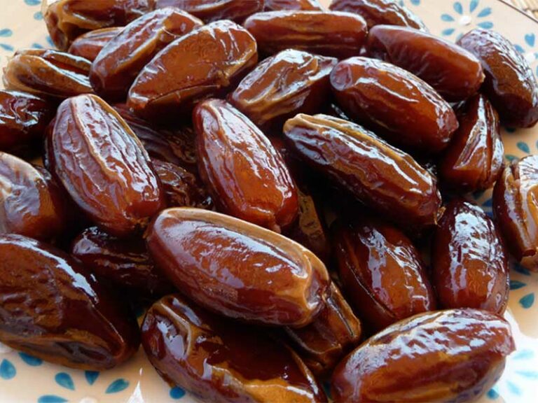 EL DÁTIL, DE SONORA PARA MÉXICO