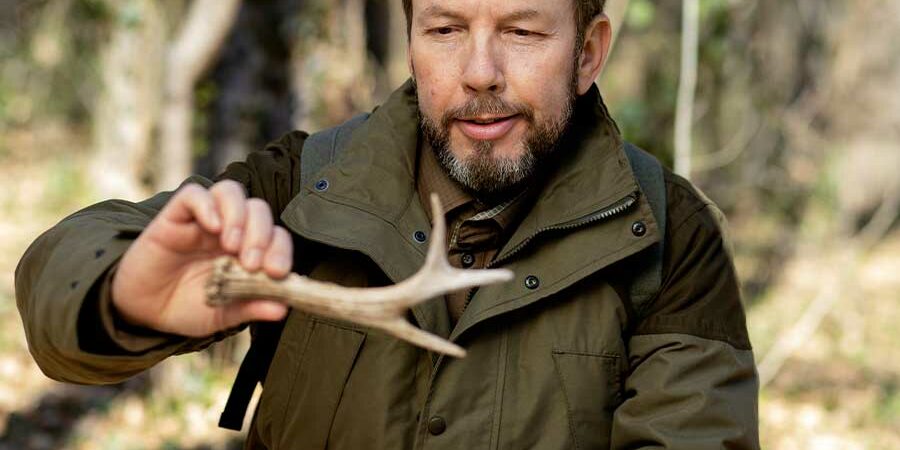 CONSUMO Y MANEJO DE ANIMALES SILVESTRES