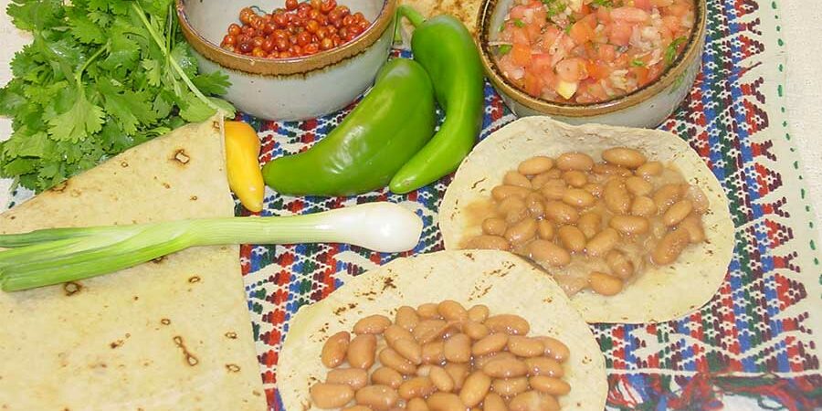 NUESTROS FRIJOLITOS PINTOS DE CADA DÍA
