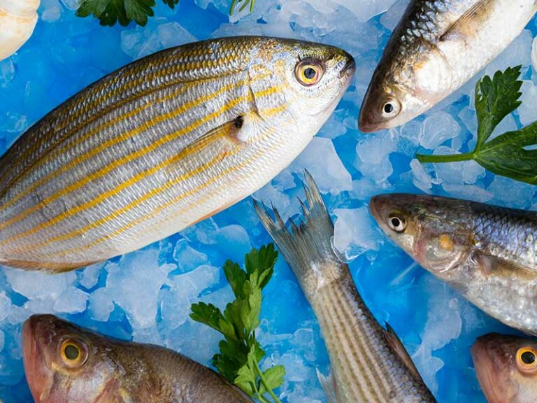 CONSEJOS PARA ELEGIR PESCADO FRESCO EN CUARESMA