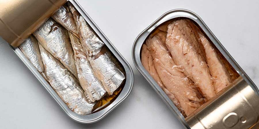 CIENCIA Y TECNOLOGÍA DE ALIMENTOS A LO LARGO DE LA HISTORIA