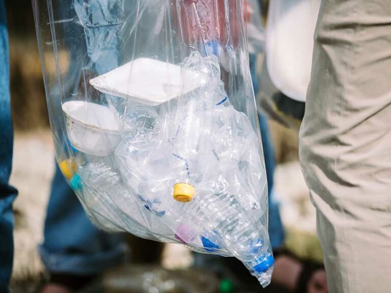 MICROPLÁSTICOS Y SALUD