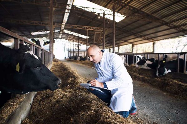 POR QUÉ LA SALUD DE LOS ANIMALES ES MI SALUD