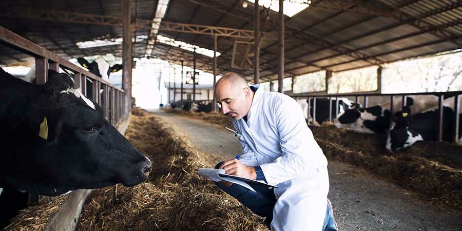 POR QUÉ LA SALUD DE LOS ANIMALES ES MI SALUD