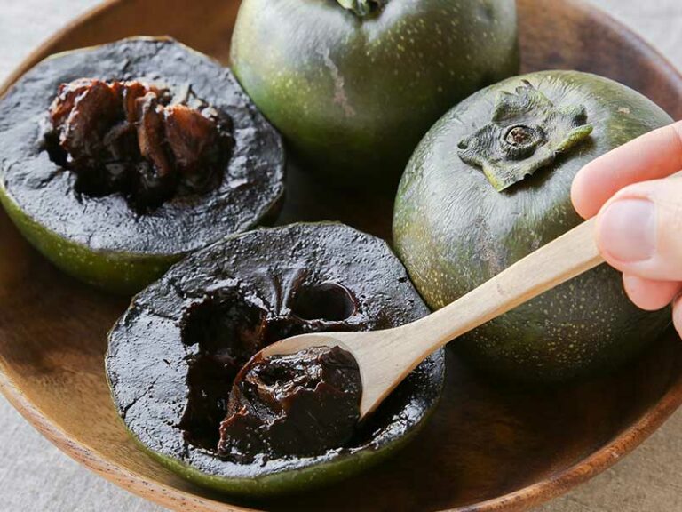 EL ZAPOTE NEGRO, LAS OTRAS FRUTAS TROPICALES DE MÉXICO