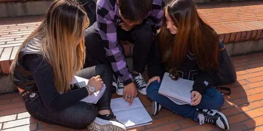 INCLUSIÓN DE ESTUDIANTES CON DISCAPACIDAD EN EDUCACIÓN SUPERIOR