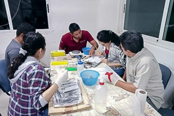 USO DE LA GENÓMICA EN UN PROGRAMA DE MEJORAMIENTO GENÉTICO EN MÉXICO