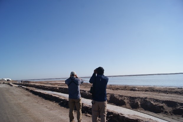 ambientales2