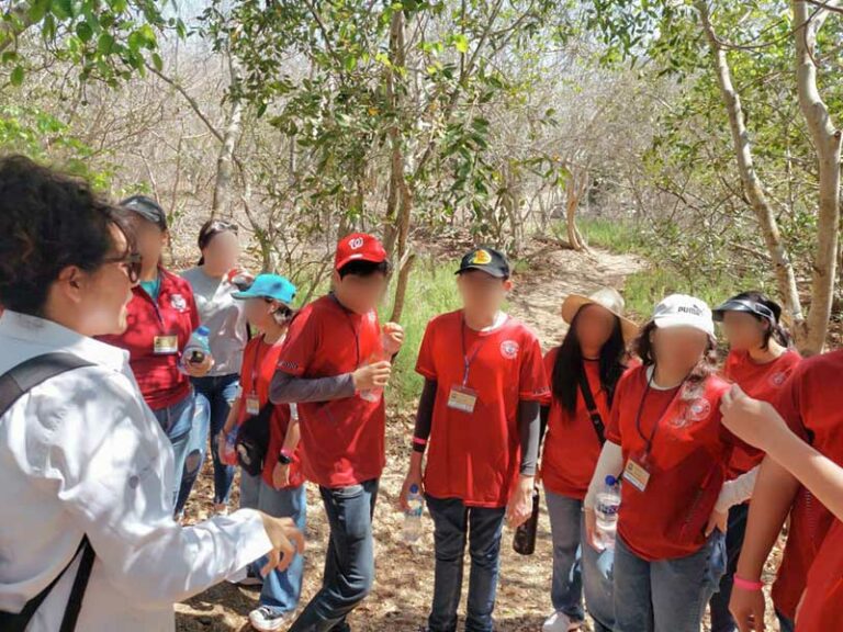 MÁS DE MIL NIÑOS(AS) Y JÓVENES HAN VISITADO EL CIAD MAZATLÁN ESTE 2024